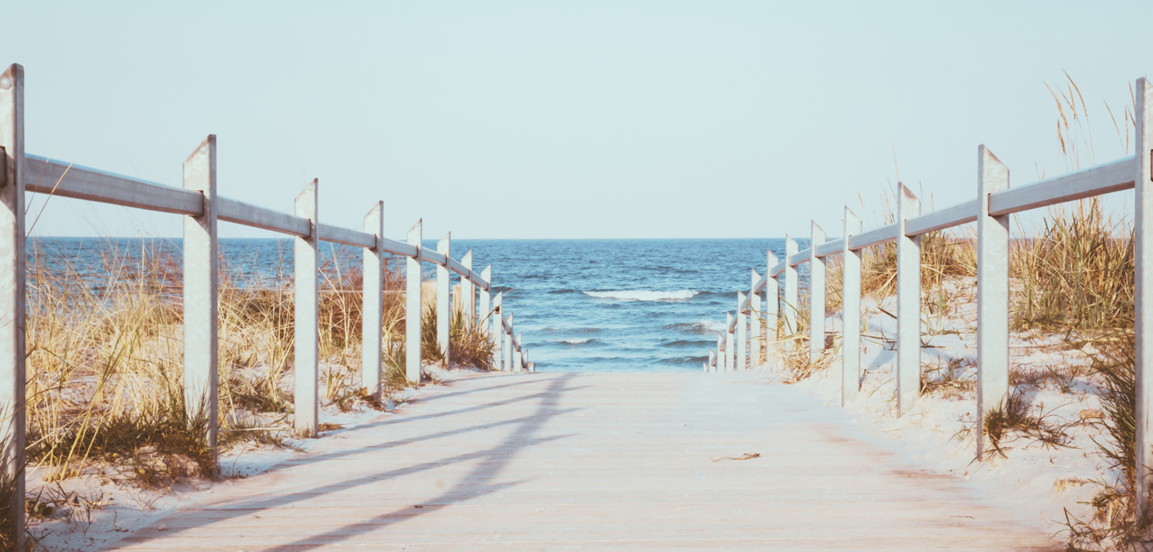 a path going down to the ocean. why businesses should hire professional social media managers